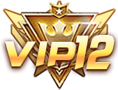 等级-LV12-林夕资源VAM