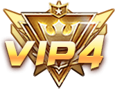 等级-LV4-林夕资源VAM