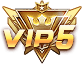 等级-LV5-林夕资源VAM