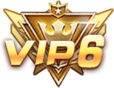 等级-LV6-林夕资源VAM