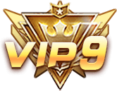 等级-LV9-林夕资源VAM