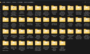 【VMD】tiktok洋抖精选舞蹈（41个）-林夕资源VAM