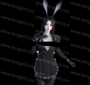 VAM-YJ.Maid_Series_24111.1-林夕资源VAM