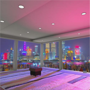 pacokie.citynightsky-资产-林夕资源VAM